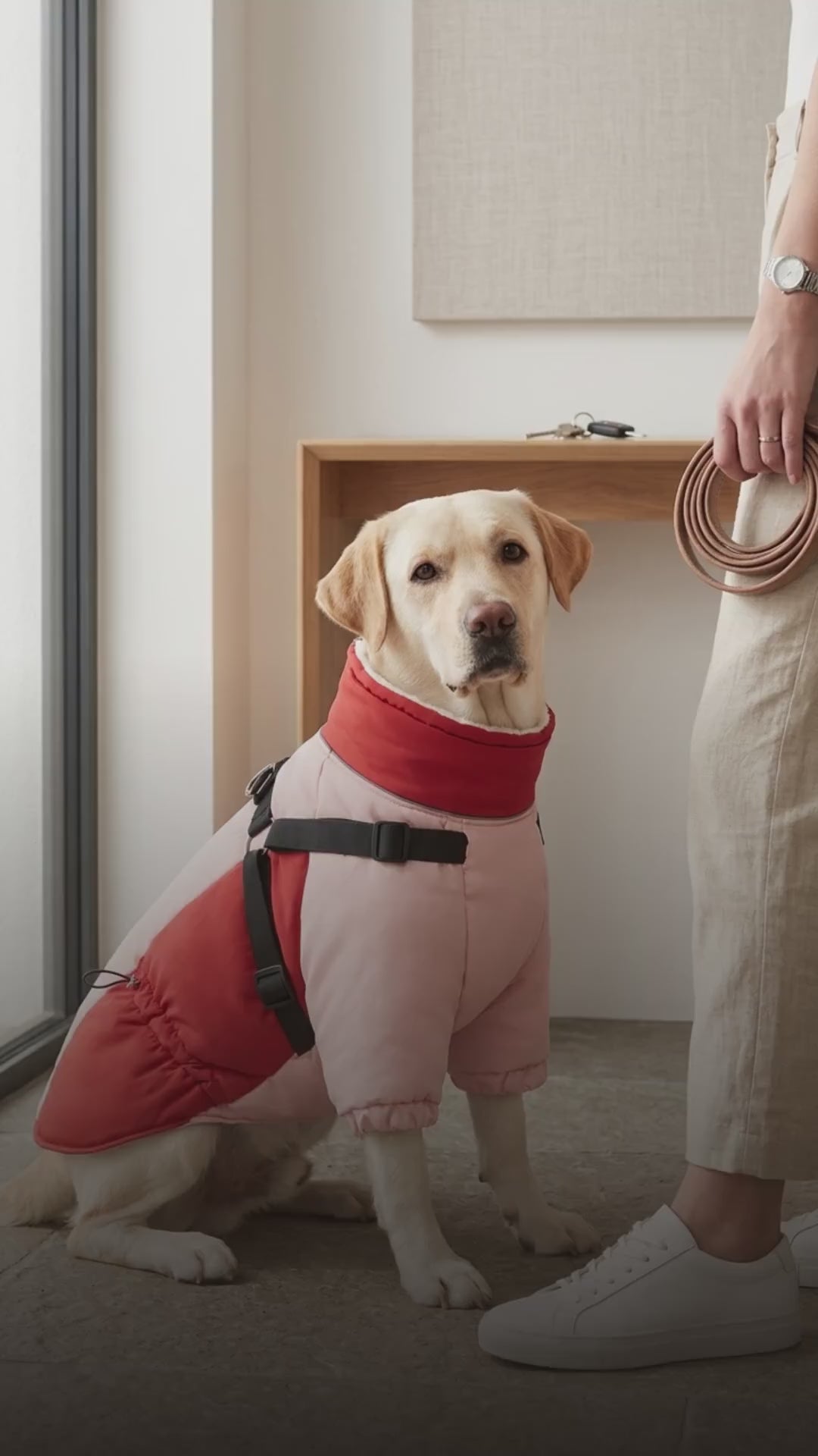 PUMYPOREITY Fleece-Lined Winter Dog Coat with Built-In Harness